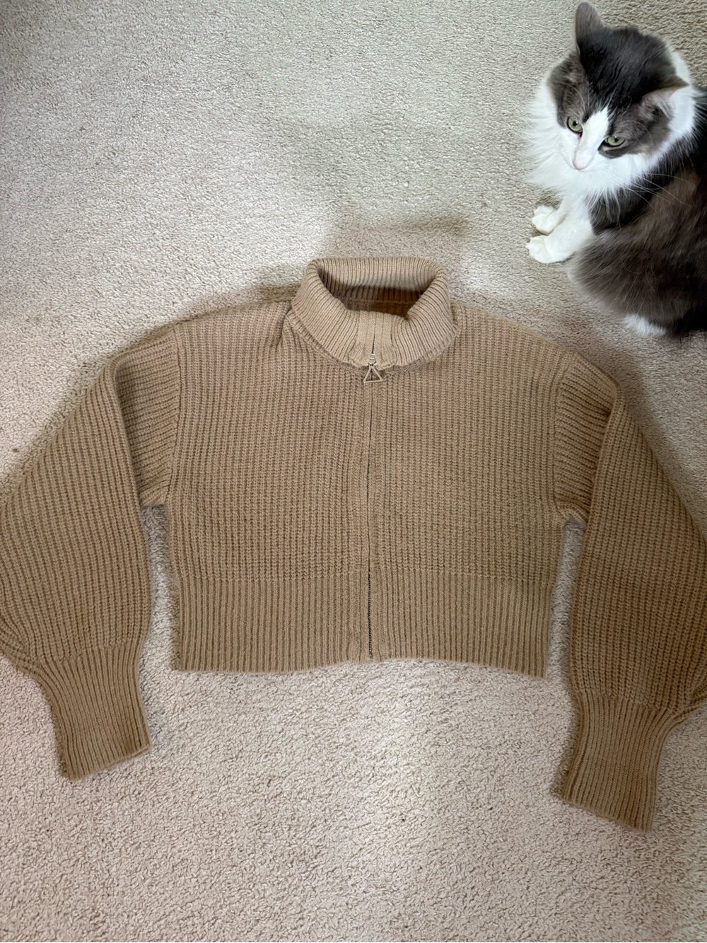 Cider Cropped Ribbed Zip-Up Sweater in Taupe
